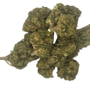 buddhas hand